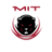 MIT Engineers