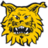 Ilves Football