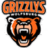 Grizzlys Wolfsburg