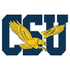 Coppin State Eagles